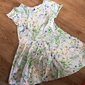 Spring/Summer Dress 👗